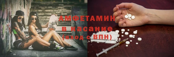 индика Абаза
