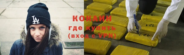 индика Абаза