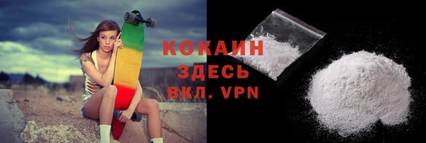 индика Абаза