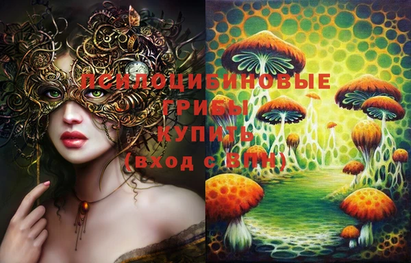 индика Абаза