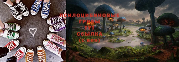 индика Абаза