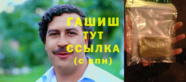 индика Абаза